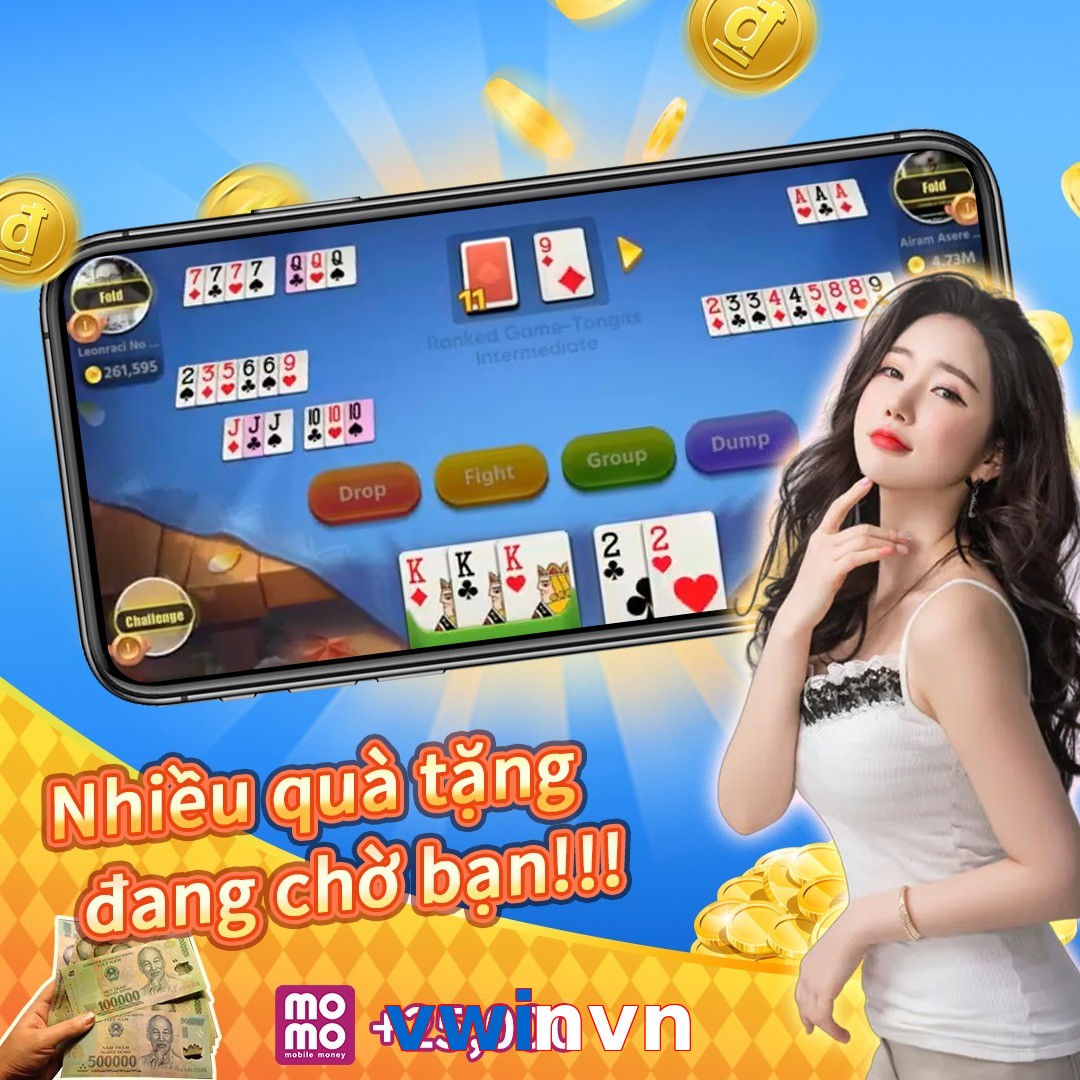 vwinvn