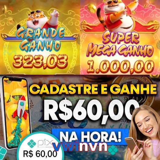 vwinvn