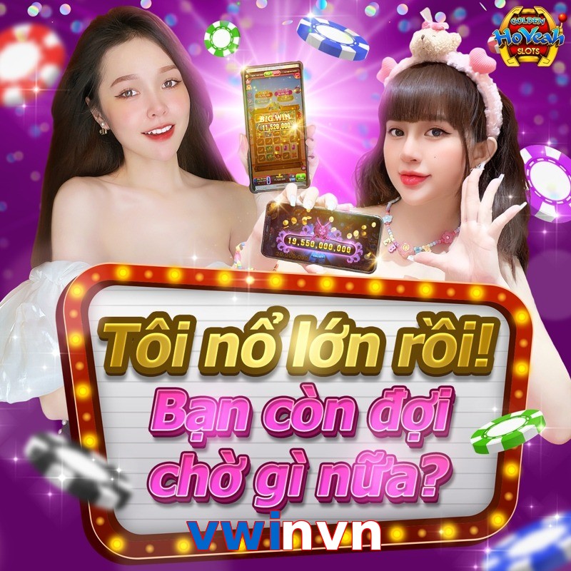 vwinvn