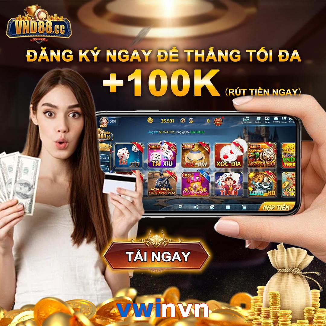 vwinvn