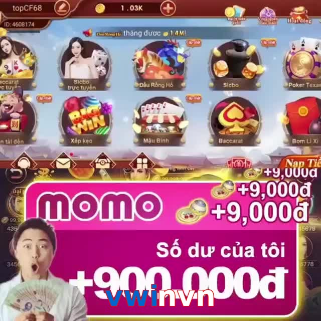 vwinvn