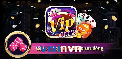vwinvn