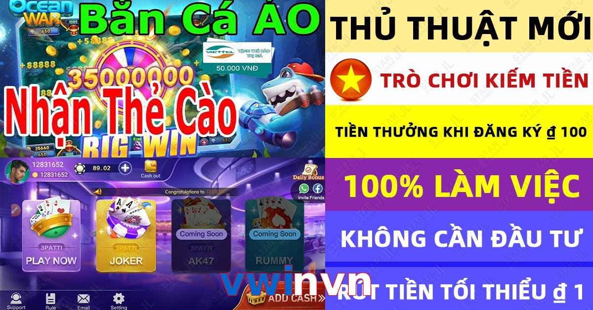 vwinvn