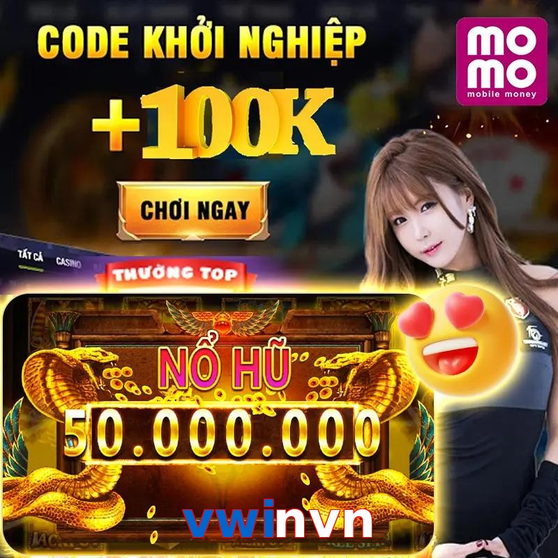 vwinvn