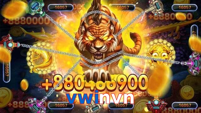 vwinvn