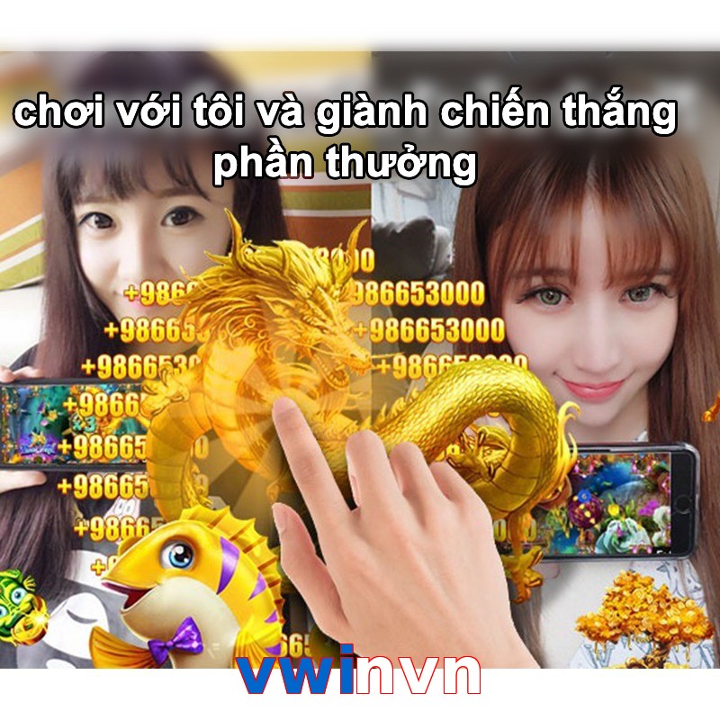 vwinvn