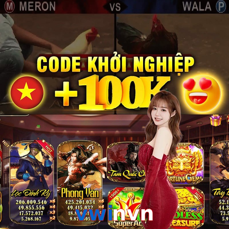 vwinvn